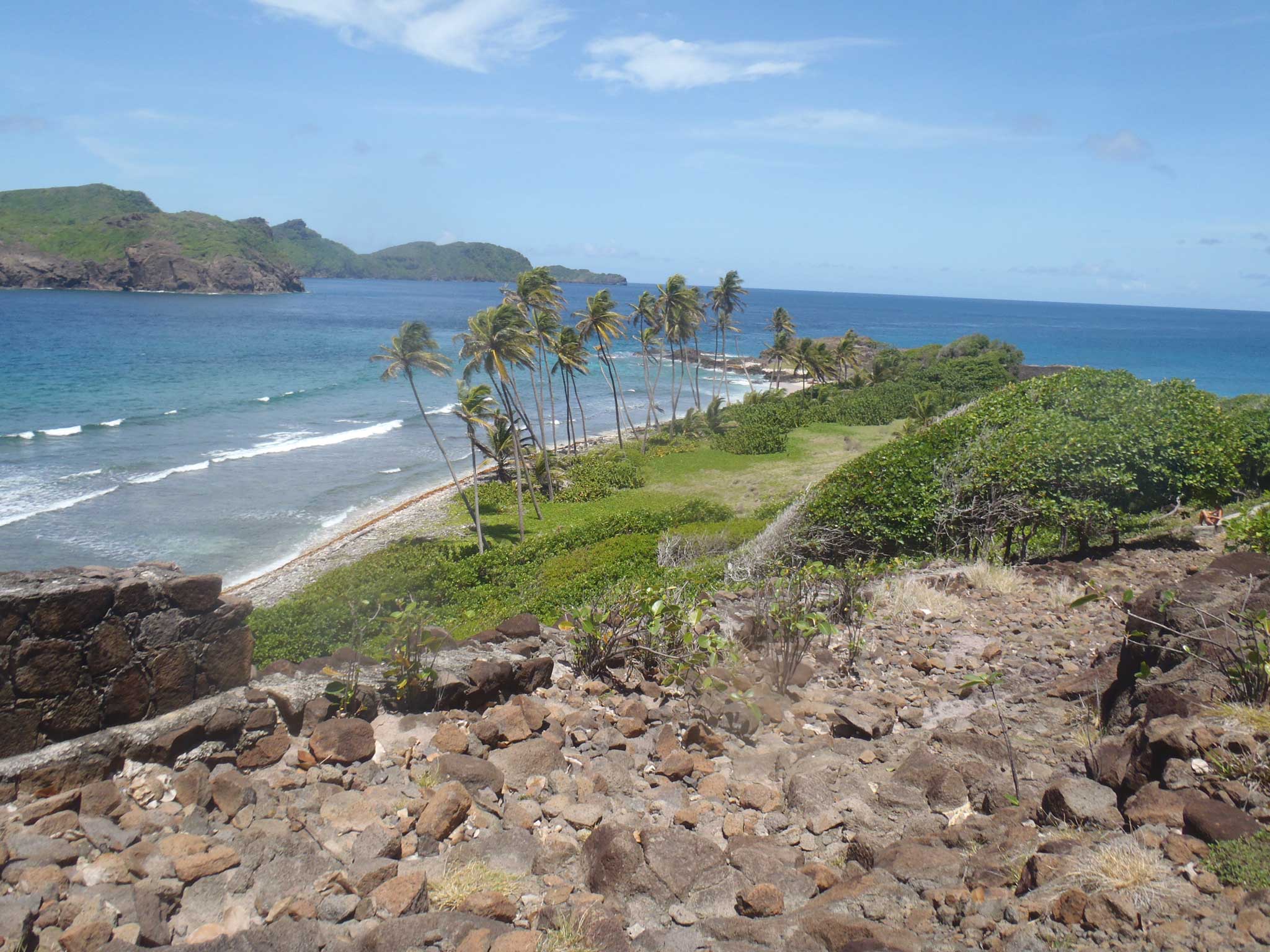 Petit nevis